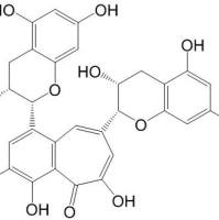 茶黄素4670-05-7