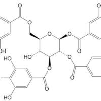 1,2,3,6-四-O-没食子酰-β-D-葡萄糖79886-50-3
