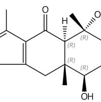 Curcolonol217817-09-9