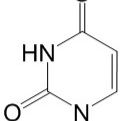尿嘧啶66-22-8