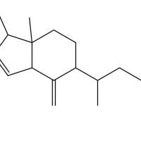 开环新南五味子酸A124817-74-9