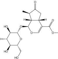 7-酮马钱素152-91-0