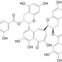 茶黄素-3,3'-双没食子酸酯30462-35-2