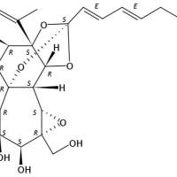 芫花酯乙76402-66-9