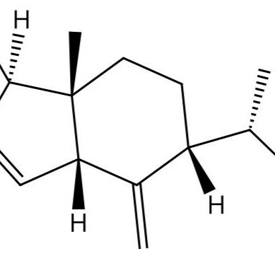 新南五味子酸 A123929-80-6