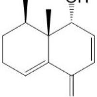去氧甘松醇 A53859-06-6