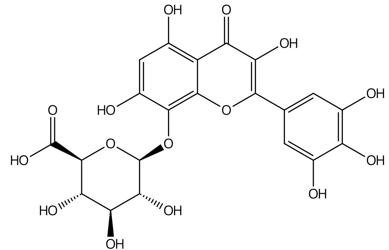 黄蜀葵花化学成分图片