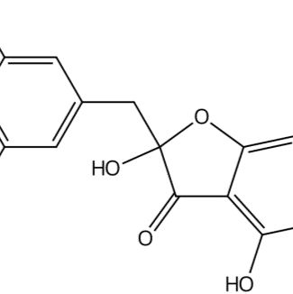 苦杏碱醇 B226561-02-0