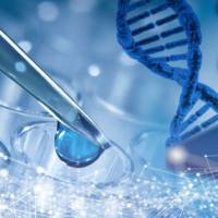 AH109酵母感受态细胞