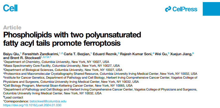 Cell 突破：铁死亡发现者Stockwell提出细胞死亡新见解