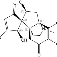 Dauricumine345641-00-1