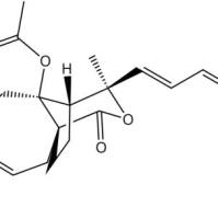去甲基土荆皮乙酸82508-35-8