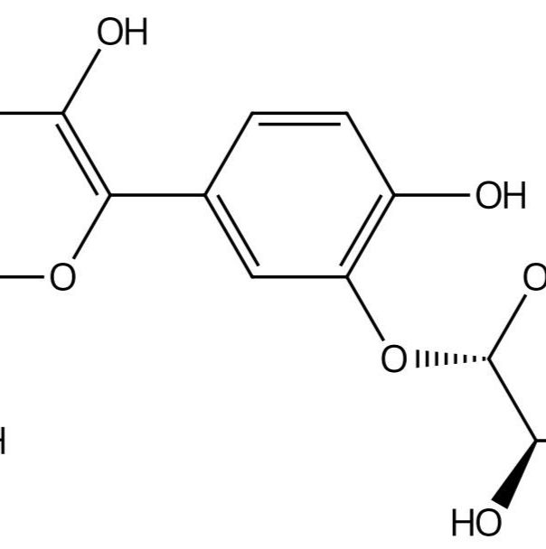 棉皮素-3'-O-β-葡萄糖苷777080-67-8