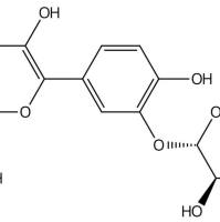 棉皮素-3'-O-β-葡萄糖苷777080-67-8