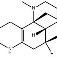 α-玉柏碱596-55-4