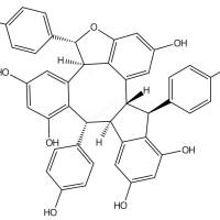 Stenophyllol B208834-81-5