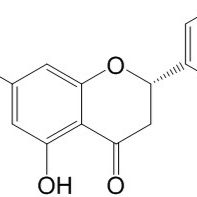 球松素; 乔松酮480-37-5