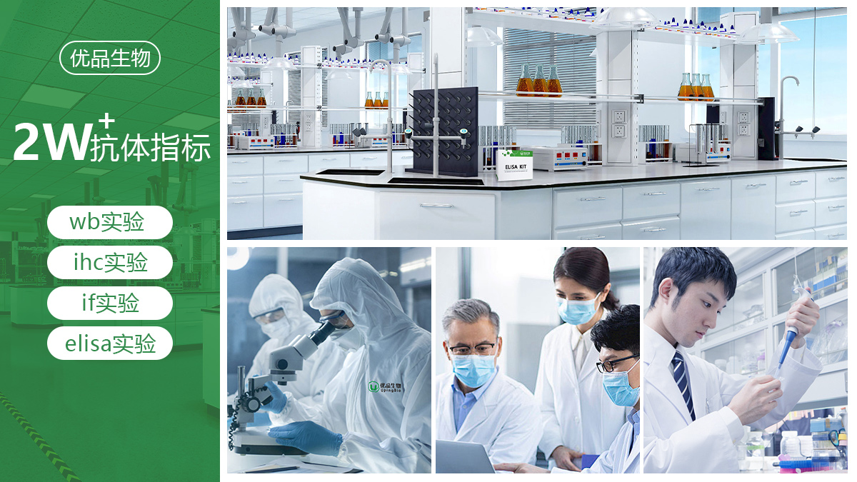 优品生物｜我们主营这些