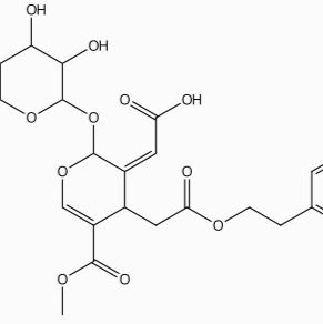 女贞苷酸96382-89-7