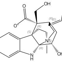 Echitaminic acid7163-44-2