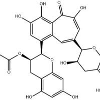 茶黄素-3'-没食子酸酯28543-07-9