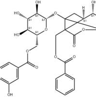 6'-O-没食子酰白芍苷929042-36-4