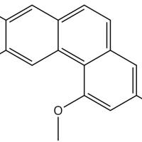 异山药素I39499-84-8