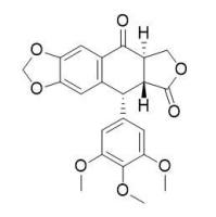 鬼臼毒酮477-49-6
