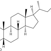 石胆酸-D483701-16-0