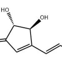 土曲菌素582-46-7