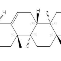 地榆皂苷元6812-98-2
