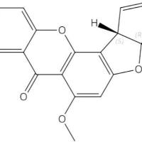 柄曲菌素10048-13-2