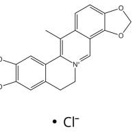 紫堇沙明碱11028-77-6