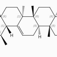 雷公藤三萜酸C123914-32-9