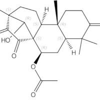 蓝萼丁素140671-02-9