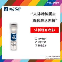 胰岛素样生长因子，IGF-1 ，insulin-like growth factors,IGFs