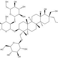 凤仙萜四醇苷 O161016-52-0