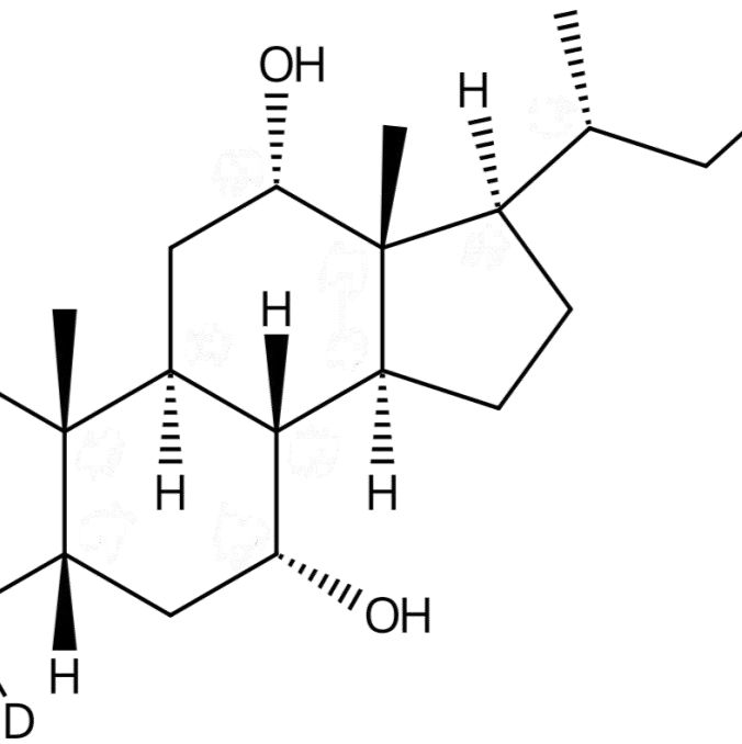 胆酸-D4116380-66-6