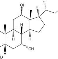 胆酸-D4116380-66-6
