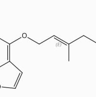 去氢羌活内酯88206-51-3