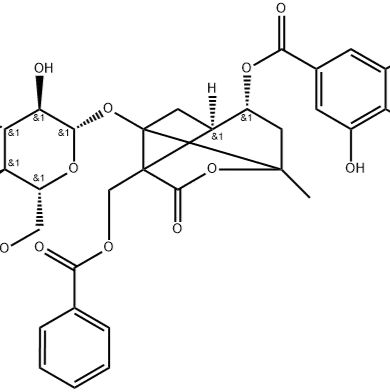 4-O-没食子酰白芍苷1201580-97-3