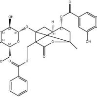 4-O-没食子酰白芍苷1201580-97-3