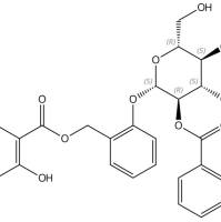 Salicyltremuloidin10059-19-5