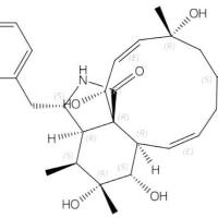 细胞松弛素R121964-47-4