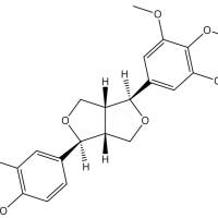 木兰脂素31008-18-1