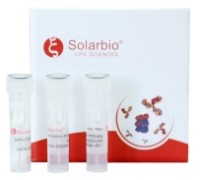 Anti-GPX1 Polyclonal Antibody