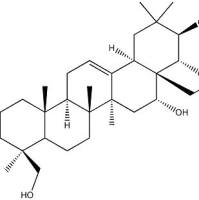 原七叶皂苷元20853-07-0