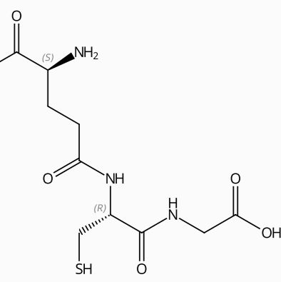 谷胱甘肽70-18-8