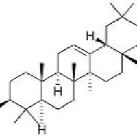 齐墩果醛17020-22-3