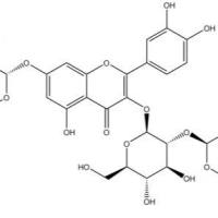 槲皮素-3-槐二糖-7-葡萄糖苷42903-93-5